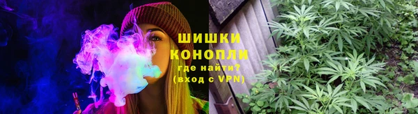 крисы Няндома