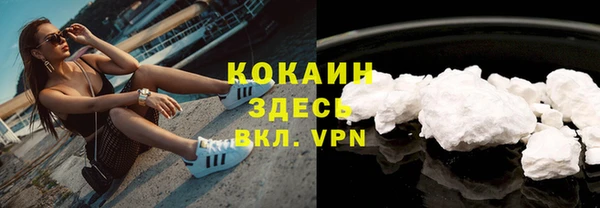 крисы Няндома