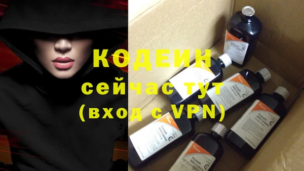 крисы Няндома
