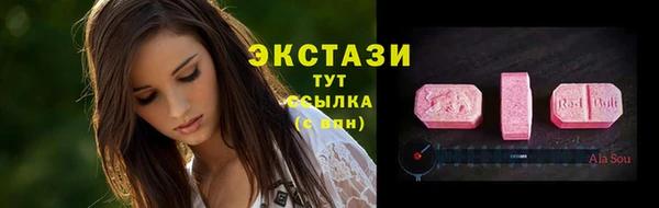 крисы Няндома