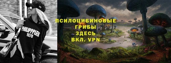 ешки Новодвинск