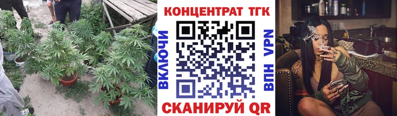 Купить закладки  Гусев  ТГК жижа 