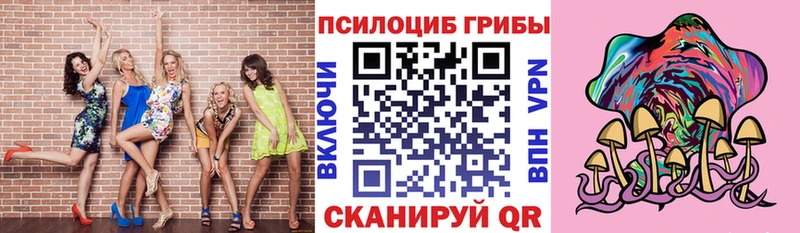 Галлюциногенные грибы Psilocybine cubensis Купить Гусев
